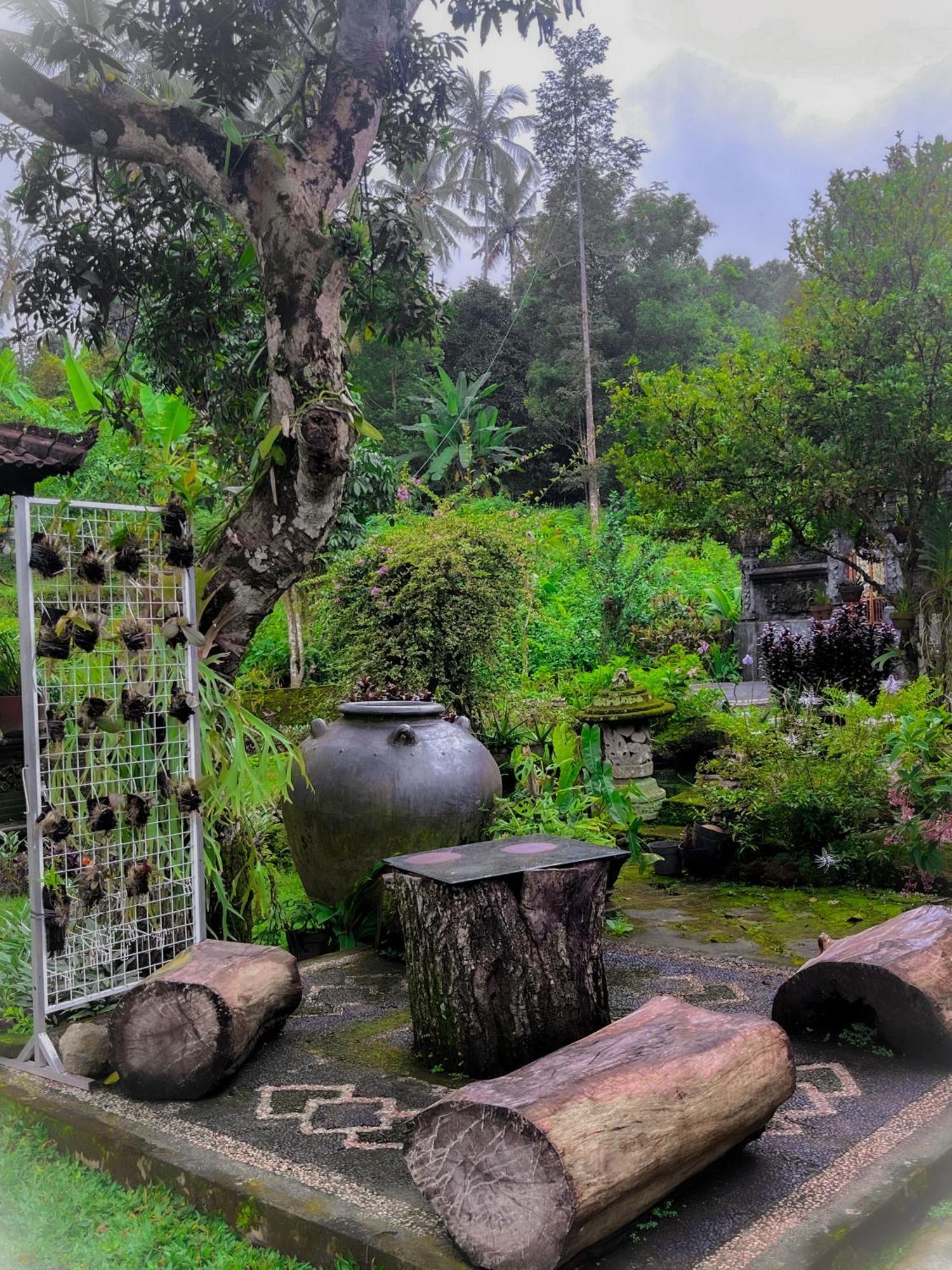Pabean Buleleng Mesari Cottage Guest House מראה חיצוני תמונה