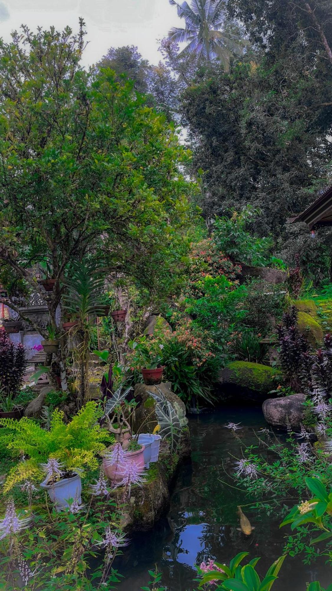 Pabean Buleleng Mesari Cottage Guest House מראה חיצוני תמונה