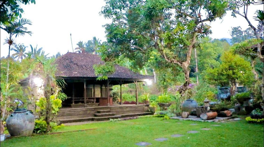 Pabean Buleleng Mesari Cottage Guest House מראה חיצוני תמונה