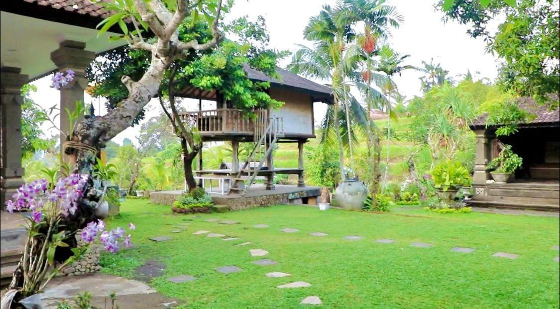 Pabean Buleleng Mesari Cottage Guest House מראה חיצוני תמונה