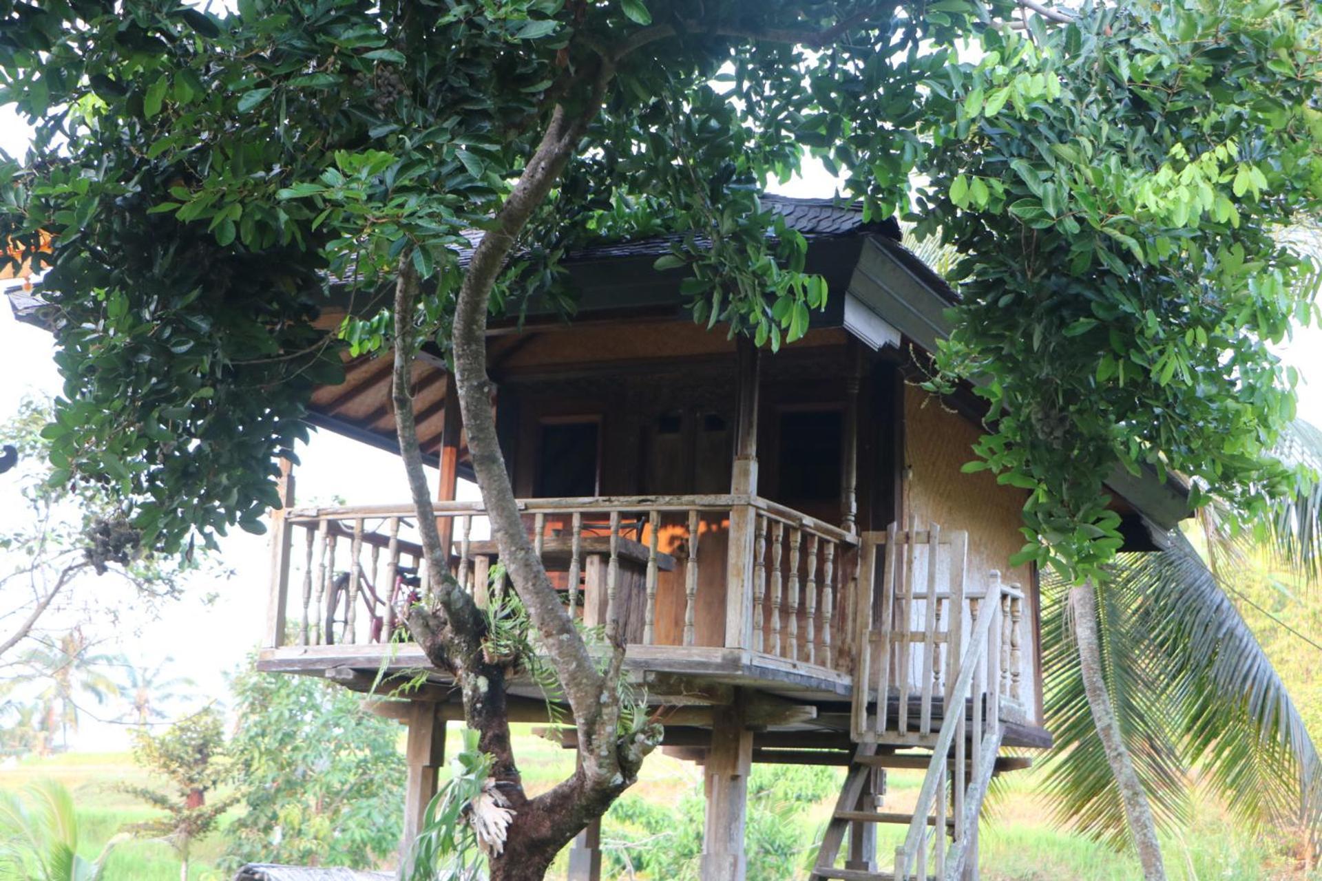 Pabean Buleleng Mesari Cottage Guest House מראה חיצוני תמונה