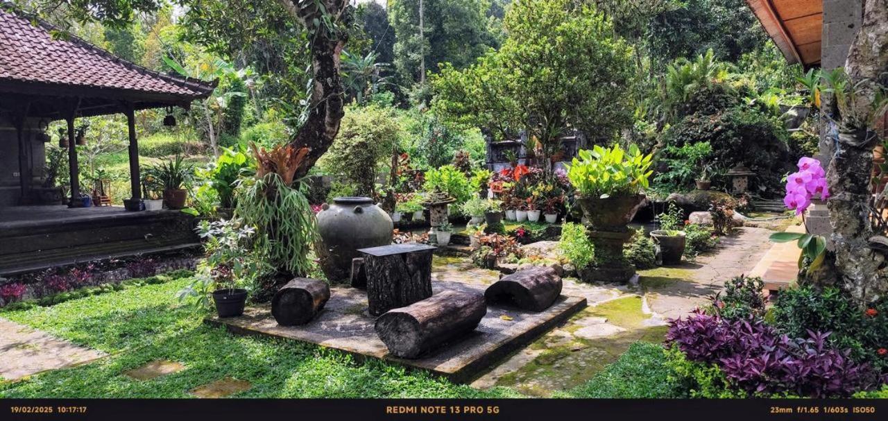 Pabean Buleleng Mesari Cottage Guest House מראה חיצוני תמונה