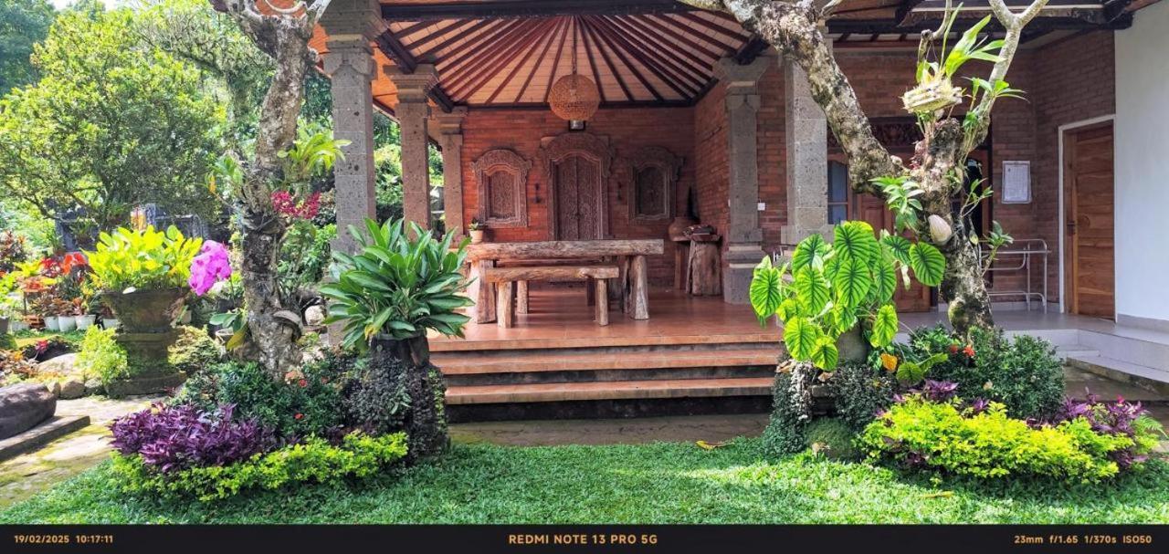 Pabean Buleleng Mesari Cottage Guest House מראה חיצוני תמונה